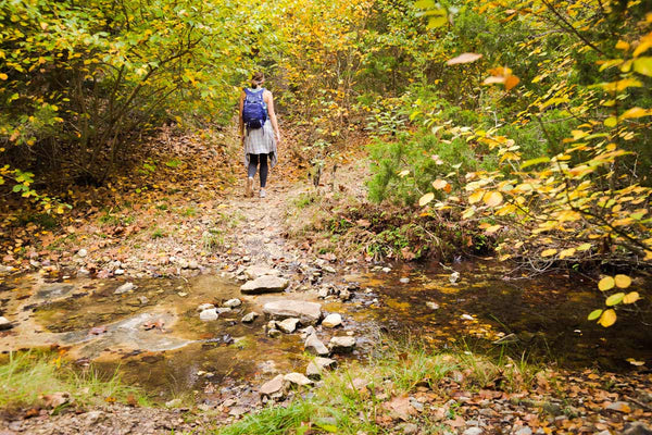 2020 Fall Hiking Guide